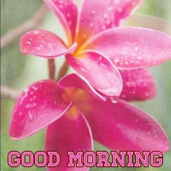 Meet your Posher - Picture 6 of 8